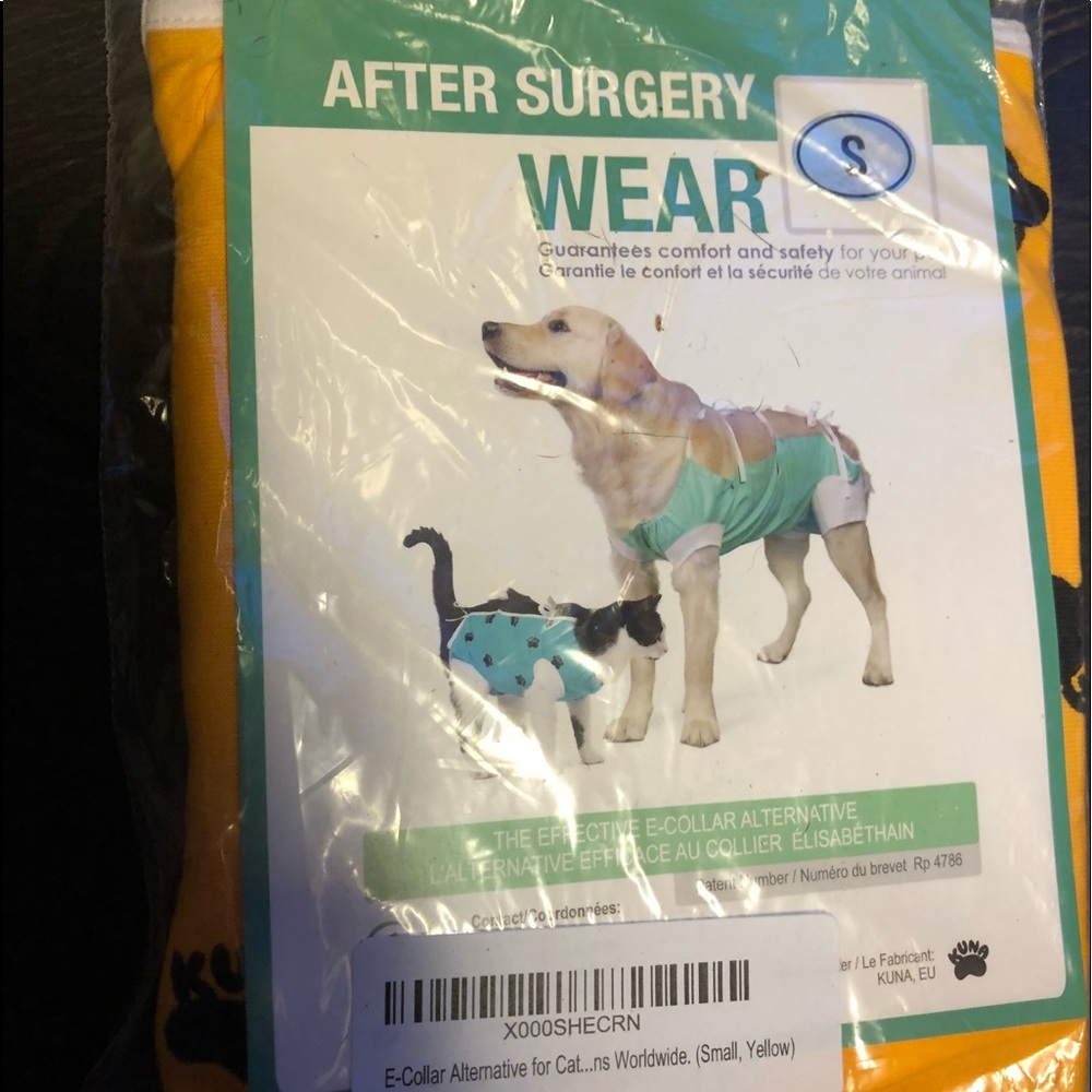 After surgery coat for dog